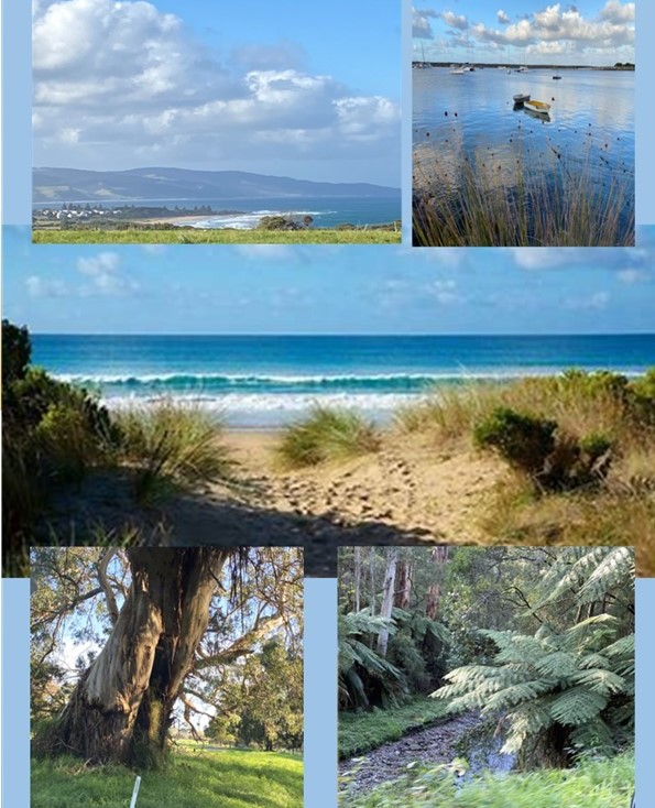 Apollo Bay and Marengo