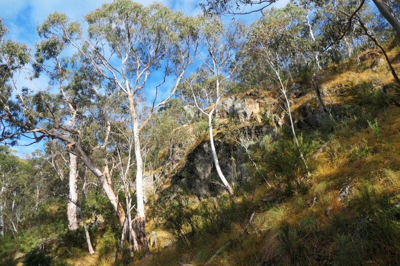Jindabyne 2025 Art Tour - Deposit
