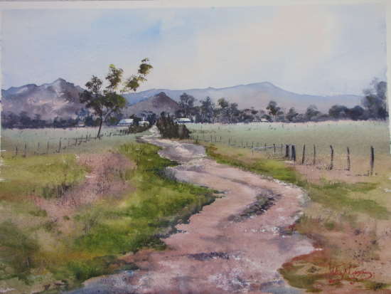 PDU 06 Julie Goldspink -Paints Track to the Grampians.
